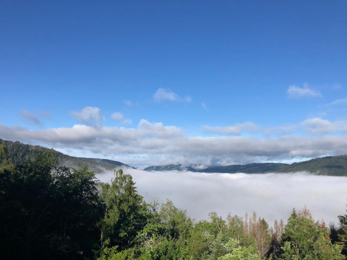 Le Gite Cozy De Bouvacote Avec Vue Panoramique Et Sauna Le Tholy Exterior foto